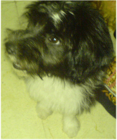 when Lara was three months old