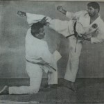 Shorin Ryu Kick Punch Block